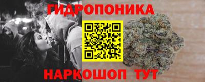 спиды Ачхой-Мартан
