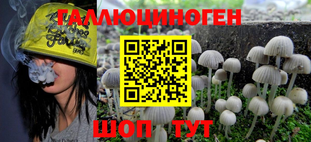 Галлюциногенные грибы GOLDEN TEACHER Воронеж