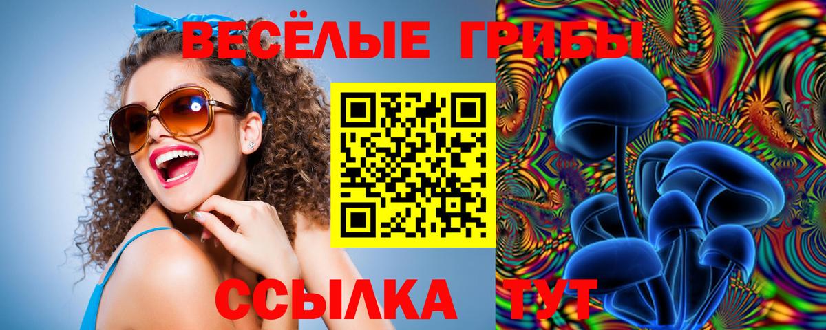 Воронеж  Галлюциногенные грибы MAGIC MUSHROOMS  Вход с VPN 